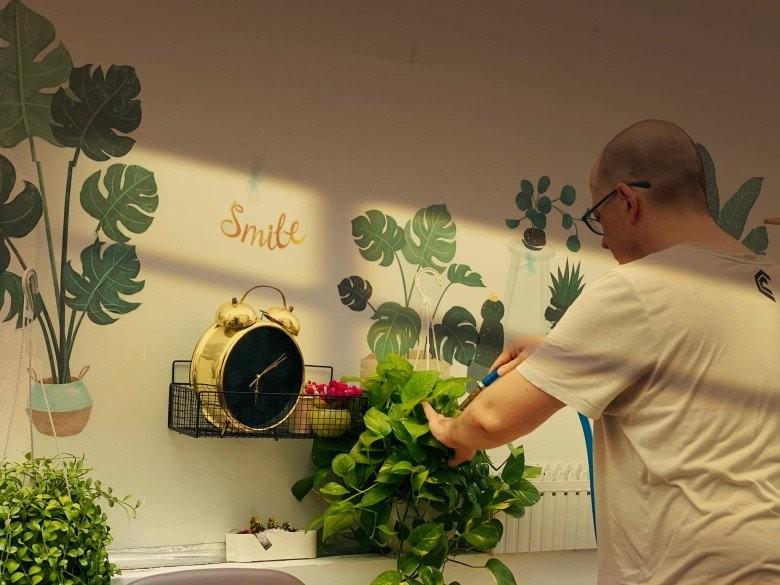 Vợ cũ MC Thành Trung khoe không gian sống nhiều cây xanh, nhiều điểm chung với nhà mẹ chồng Tây-2