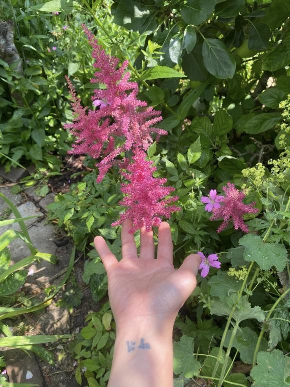 Vợ cũ MC Thành Trung khoe không gian sống nhiều cây xanh, nhiều điểm chung với nhà mẹ chồng Tây-18