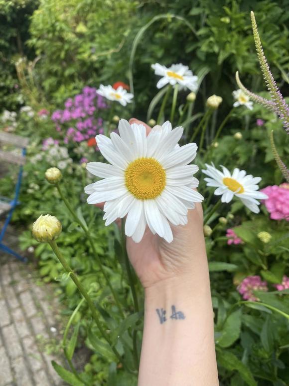 Vợ cũ MC Thành Trung khoe không gian sống nhiều cây xanh, nhiều điểm chung với nhà mẹ chồng Tây-21