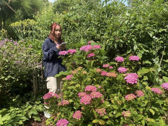 Vợ cũ MC Thành Trung khoe không gian sống nhiều cây xanh, nhiều điểm chung với nhà mẹ chồng Tây-13