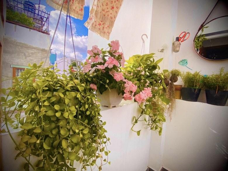 Vợ cũ MC Thành Trung khoe không gian sống nhiều cây xanh, nhiều điểm chung với nhà mẹ chồng Tây-5