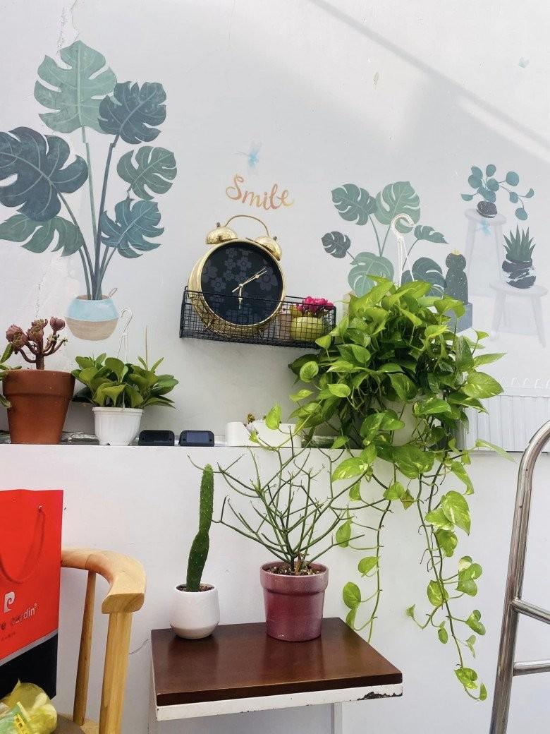 Vợ cũ MC Thành Trung khoe không gian sống nhiều cây xanh, nhiều điểm chung với nhà mẹ chồng Tây-3