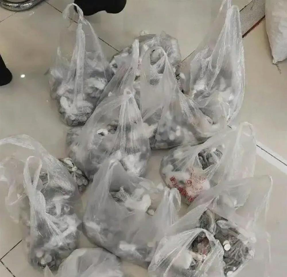 Người đàn ông mang 3 bao tải tiền xu tới tòa án trả nợ-2