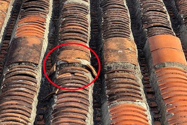 Xem xét xử lý ca sĩ Đức Tuấn chụp ảnh trên mái nhà ở phố cổ Hội An-2