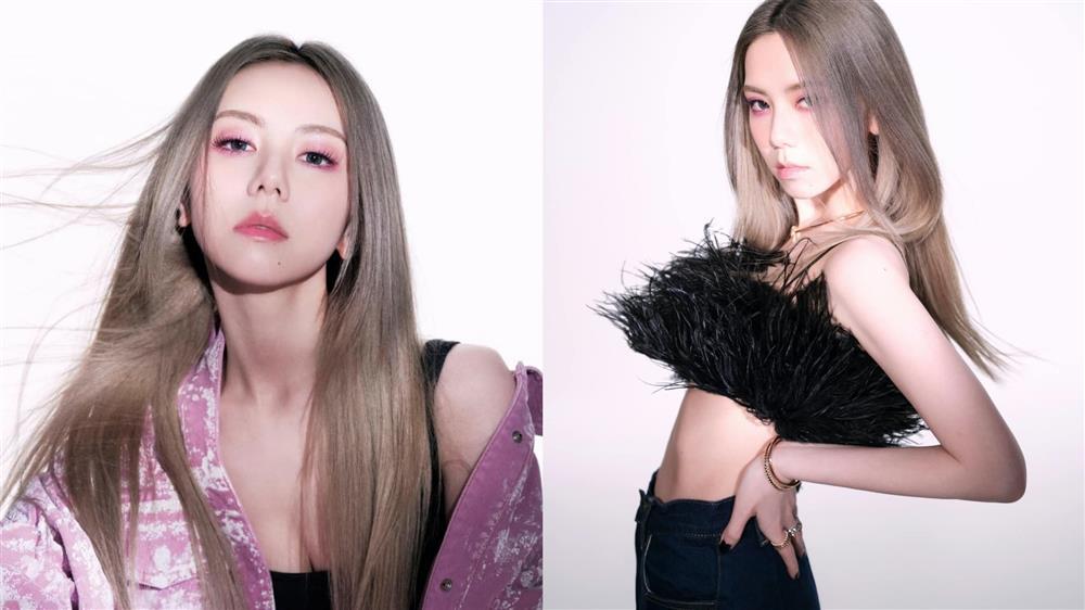 Nghệ sĩ lợi dụng fan-6