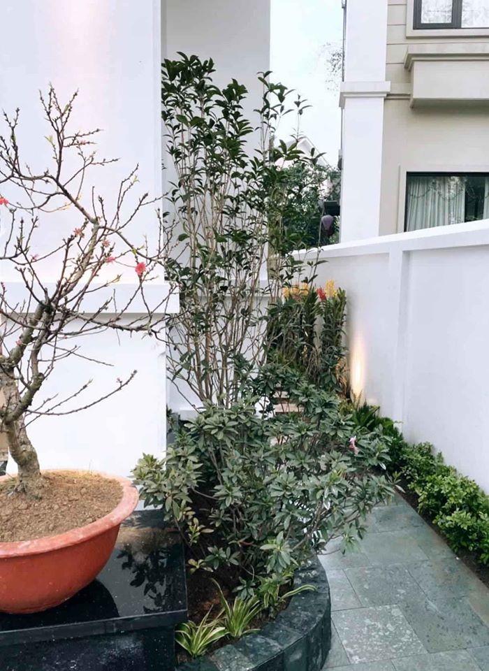 Cuộc sống viên mãn của Hằng Túi bên người chồng thứ 3 trong biệt thự sang trọng-12