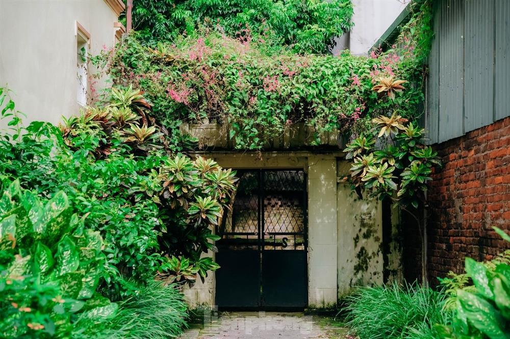 Vẻ đẹp làng cổ Lại Đà quê nhà Tổng Bí thư Nguyễn Phú Trọng-12