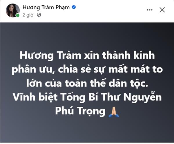 Nghệ sĩ Việt bày tỏ lòng tiếc thương Tổng Bí thư Nguyễn Phú Trọng-3