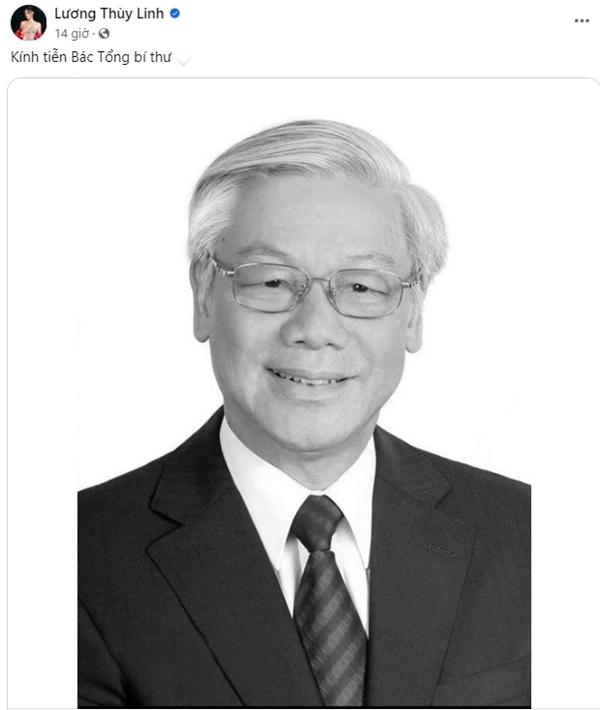 Nghệ sĩ Việt bày tỏ lòng tiếc thương Tổng Bí thư Nguyễn Phú Trọng-11