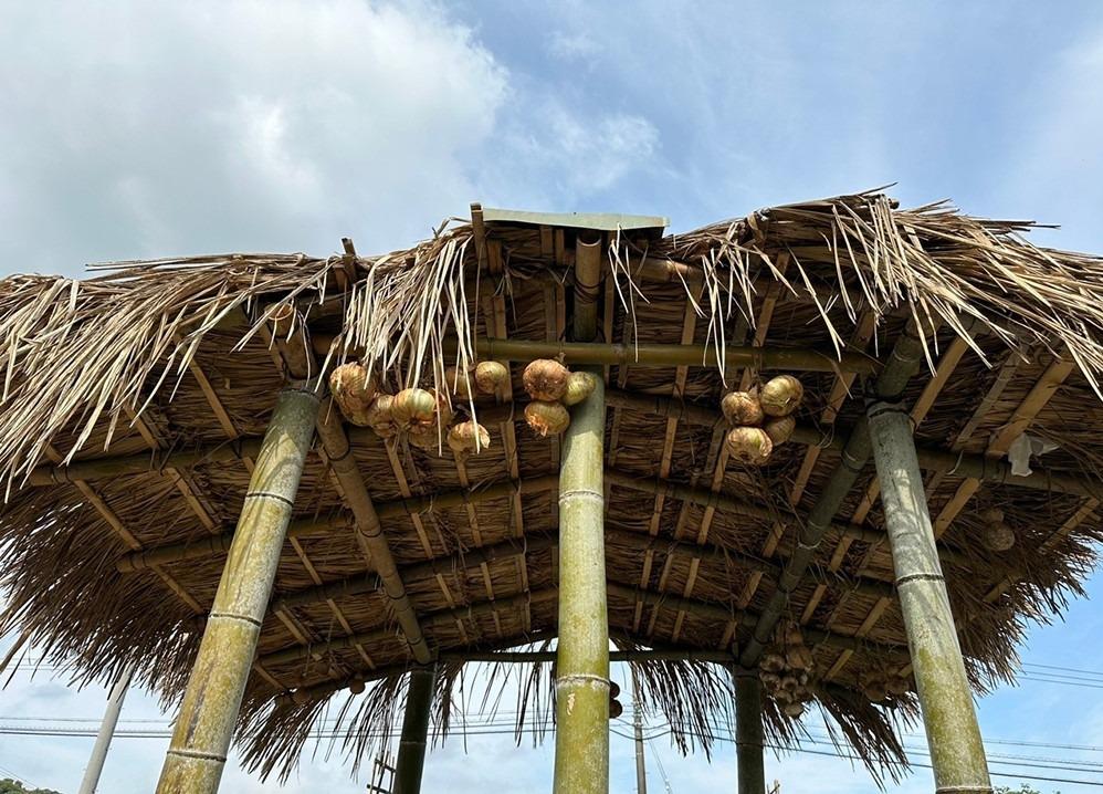 Đôi bạn thân mượn đất hàng xóm ở Nhật, trồng rau, cấy lúa như ở Việt Nam-9