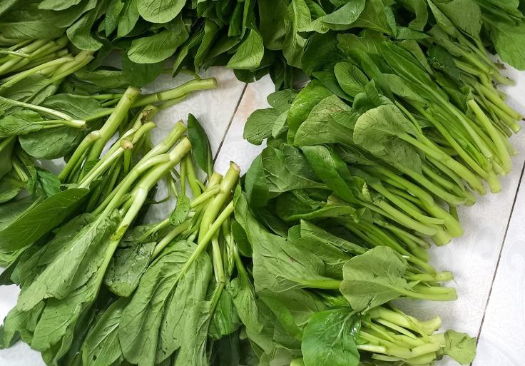 Nguy cơ rước bệnh vào người vì cấp đông thức ăn để dùng dần-1