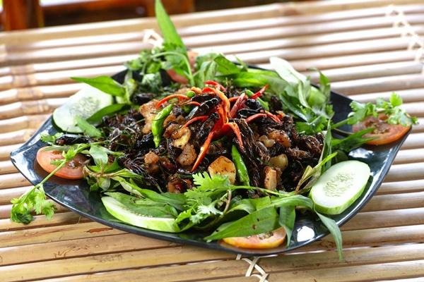 Loại côn trùng có nọc độc nguy hiểm được săn lùng làm mồi nhậu, giá nửa triệu đồng/kg-6