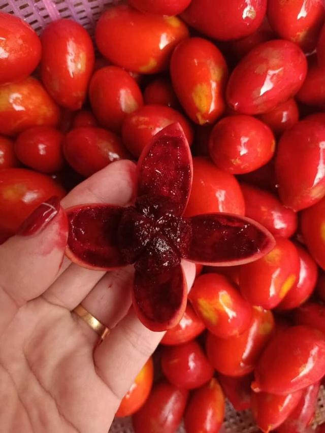 Thứ quả xưa rụng đầy không ai ngó nay dân phố chi tiền triệu tìm mua-2