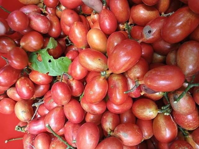 Thứ quả xưa rụng đầy không ai ngó nay dân phố chi tiền triệu tìm mua-3