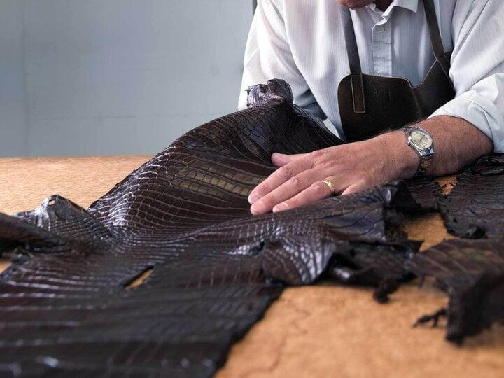 Tại sao da cá sấu đắt hơn hẳn so với các loại da khác?-2