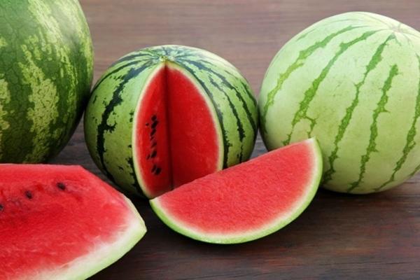 Quả vừa chua vừa chát, ăn 1 miếng muốn bỏ đi ngay mà được ví như nhân sâm-4