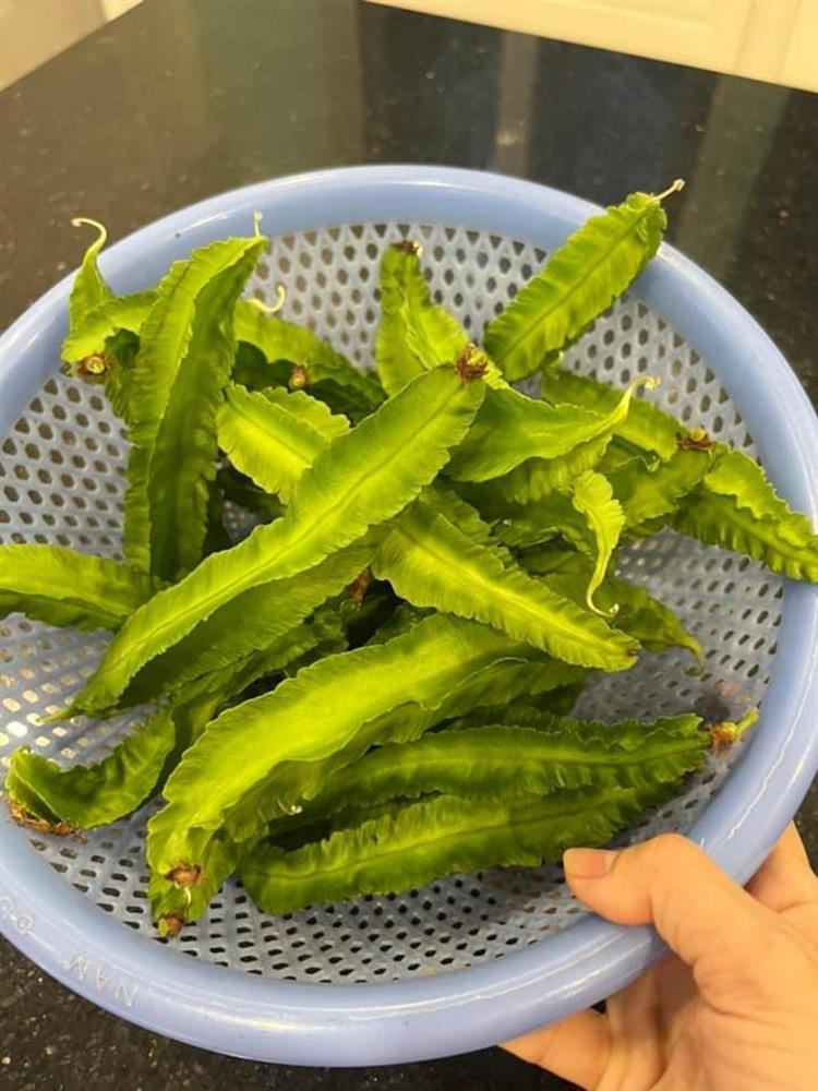 Ca sĩ Cẩm Ly trở lại sân khấu sau biến cố bệnh tật ở tuổi 54-6