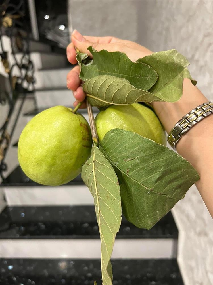 Ca sĩ Cẩm Ly trở lại sân khấu sau biến cố bệnh tật ở tuổi 54-7