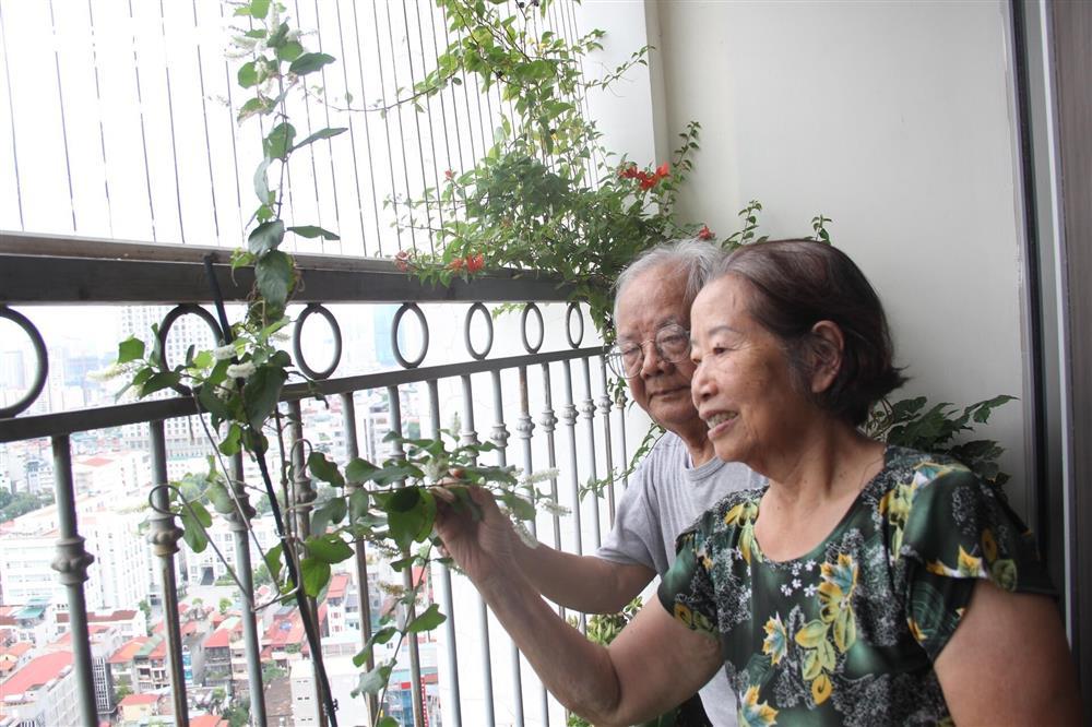 Chuyện tình ngọt đến sâu răng của hai cụ già U90 yêu nhau qua mạng-2