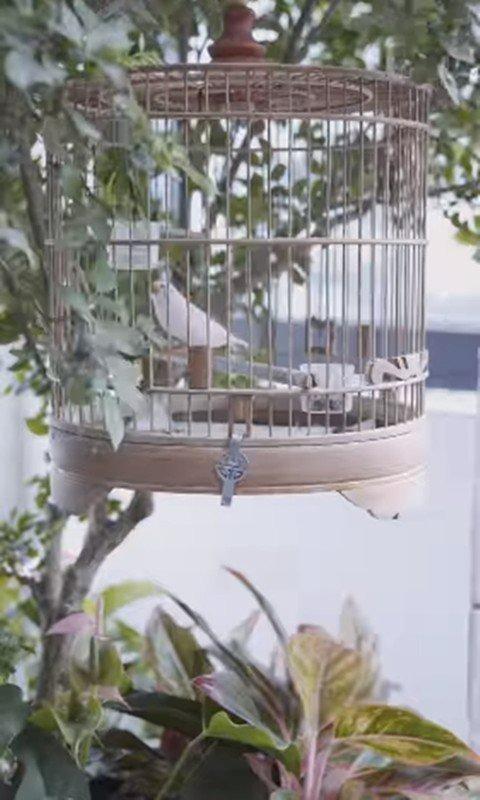 NSƯT Chí Trung đau lòng khi nhà cũ đổ nát, bị bỏ hoang, khác hẳn Chí Trung gia trang hiện tại-11