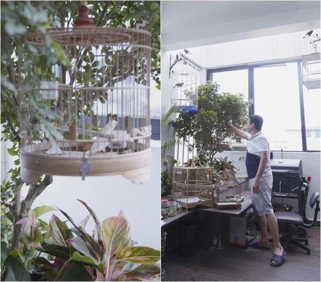 NSƯT Chí Trung đau lòng khi nhà cũ đổ nát, bị bỏ hoang, khác hẳn Chí Trung gia trang hiện tại-9