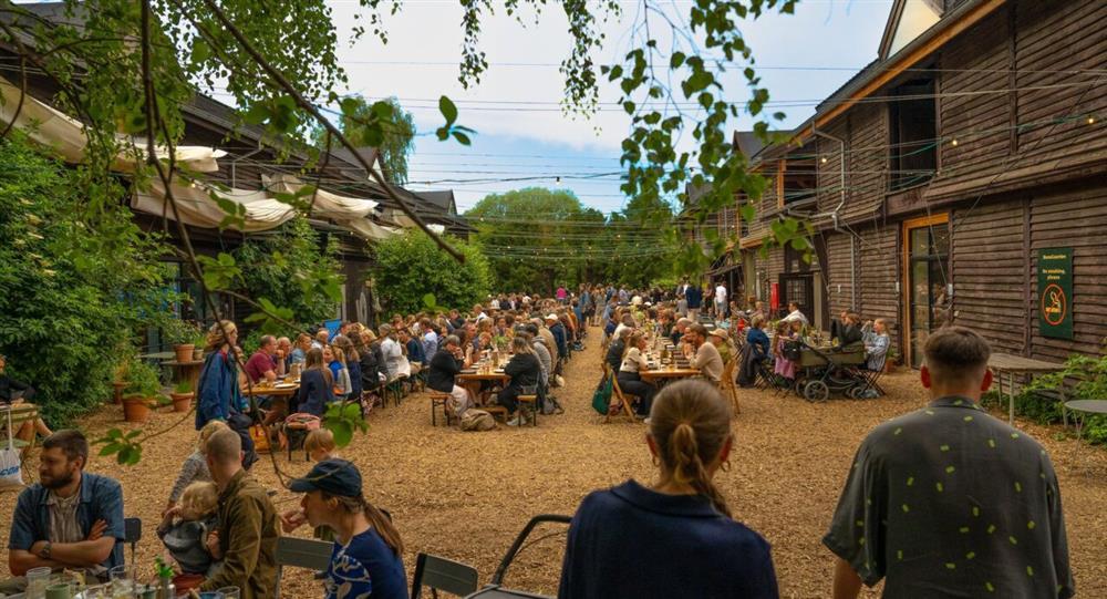 Thủ đô xanh nhất thế giới tặng đồ ăn cho du khách đi xe đạp, nhặt rác-2