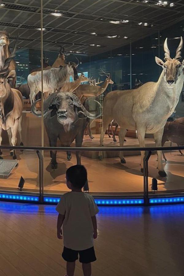 Các con nhà Tăng Thanh Hà có cuộc sống đời thực như thế nào?-6