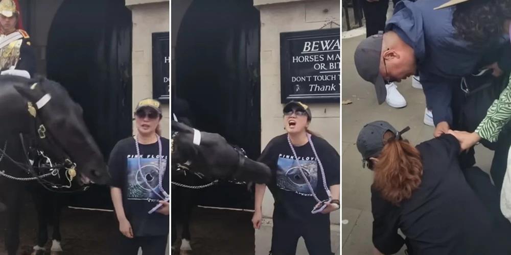 Bị ngựa hoàng gia cắn nhanh như chớp, du khách choáng váng tới ngất xỉu-1