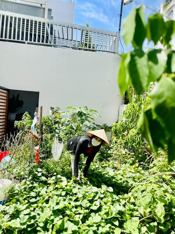 Tuổi hưu viên mãn của mẹ Hồ Ngọc Hà: Làm vườn, chăm cháu-5