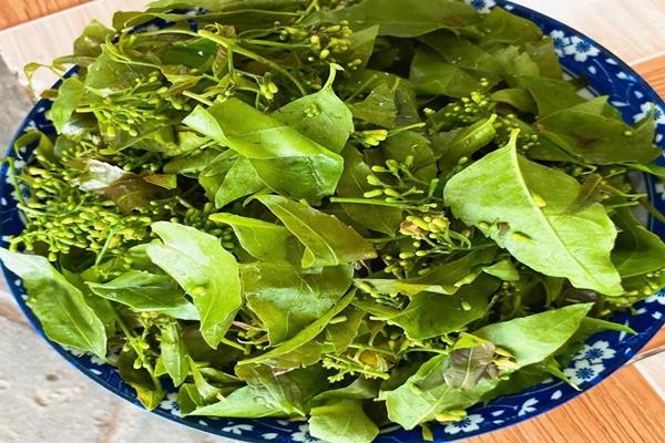 Món đặc sản ‘nghe là sầu’, ăn thì đắng hút khách thưởng thức ở An Giang-4