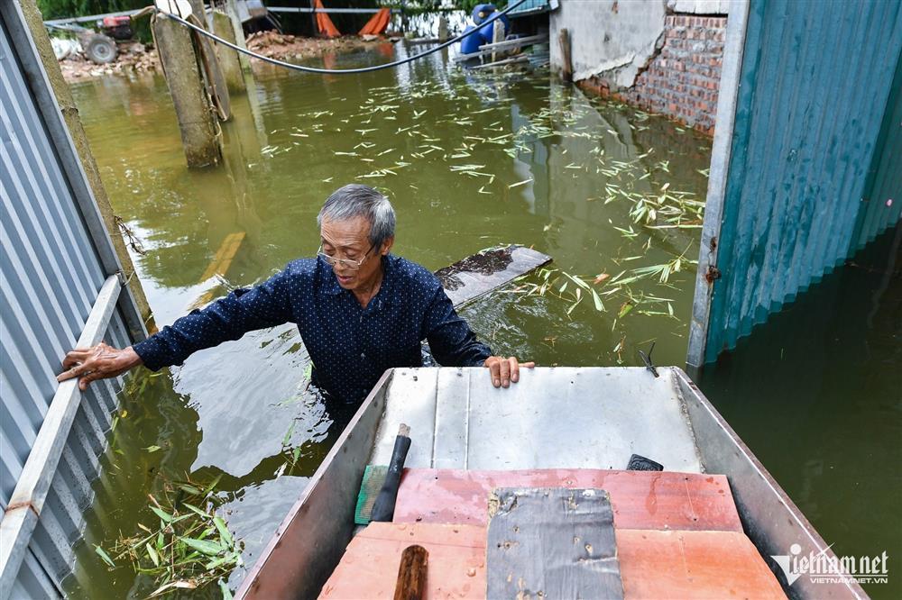 5 ngày sống cô lập trên biển nước ở ngoại thành Hà Nội