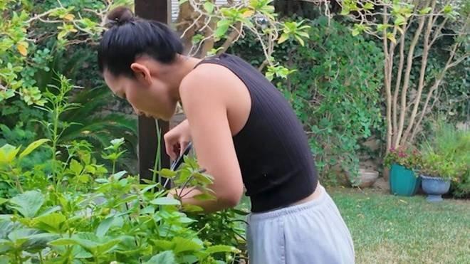 Em gái Tăng Thanh Hà sang Mỹ sống, khoe không gian xanh mát-2