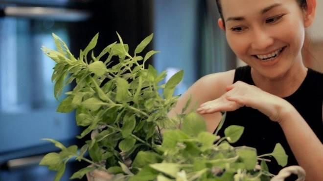 Em gái Tăng Thanh Hà sang Mỹ sống, khoe không gian xanh mát-5