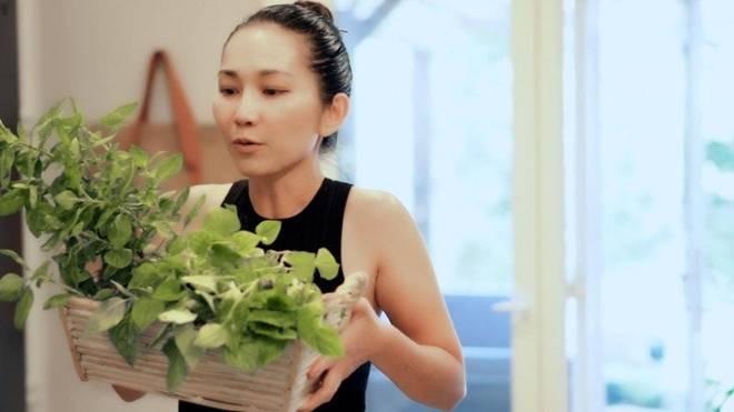 Em gái Tăng Thanh Hà sang Mỹ sống, khoe không gian xanh mát-6