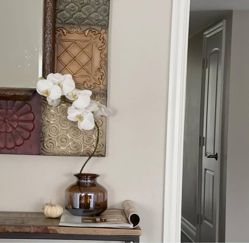 Em gái Tăng Thanh Hà sang Mỹ sống, khoe không gian xanh mát-14