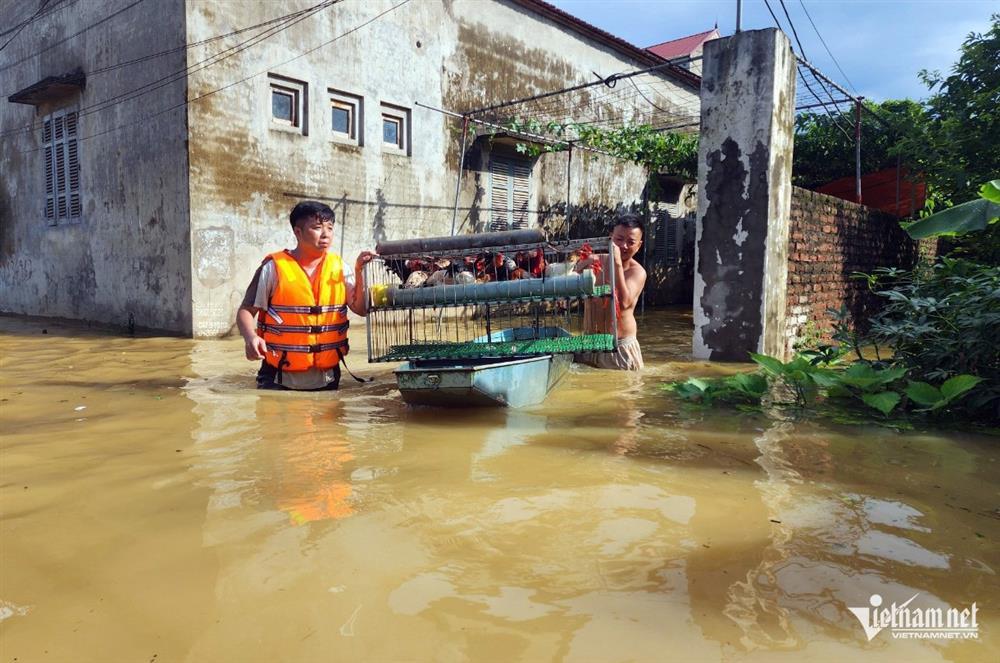 Hàng nghìn hộ dân ở Hà Nội vẫn bị cô lập sau 1 tuần nước tràn đê sông Bùi-5