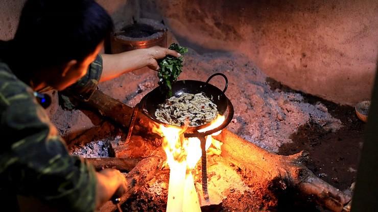 Loại côn trùng có nọc độc nguy hiểm được săn lùng làm mồi nhậu, giá nửa triệu đồng/kg-5