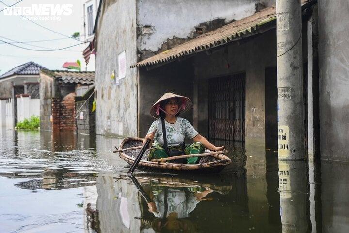 Rốn lũ Hà Nội: Người chèo thuyền tìm vịt lạc, người xót xa nhìn gà chết cả đàn-16