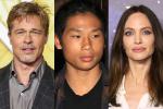 Angelina Jolie tiếp tục cáo buộc Brad Pitt-2