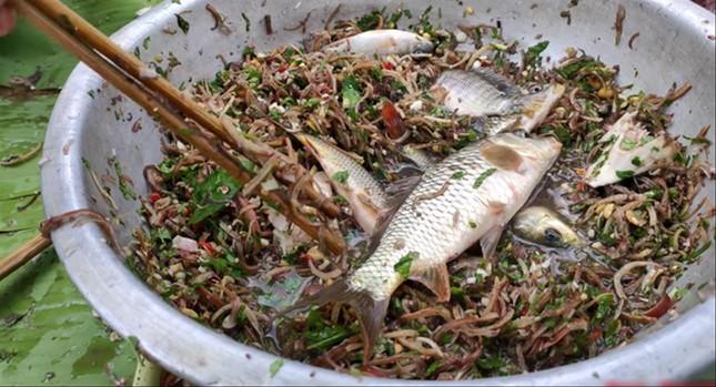 Thảm họa ẩm thực trên mạng-2