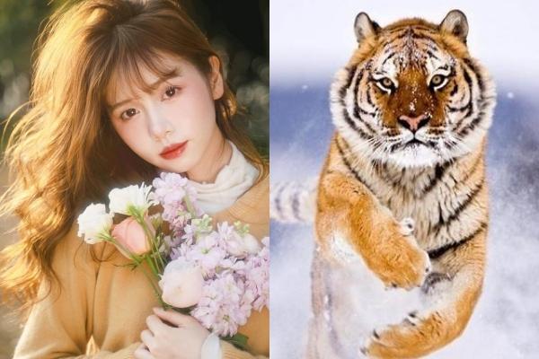 Top 3 con giáp may mắn nhất ngày mai 6/8: Hợi rủng rỉnh tiền tiêu, Tý phú quý liên hồi, Ngọ chuyển mình đổi vận-5