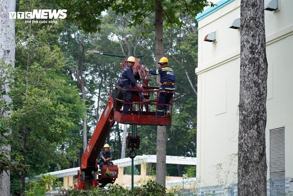 Nhánh cây bị gãy đè 2 người chết ở công viên Tao Đàn rơi từ độ cao 25m-2