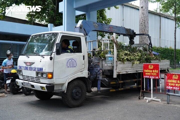 TP.HCM: Nhân chứng kể cảnh cành cây rơi đè chết người ở công viên Tao Đàn-1