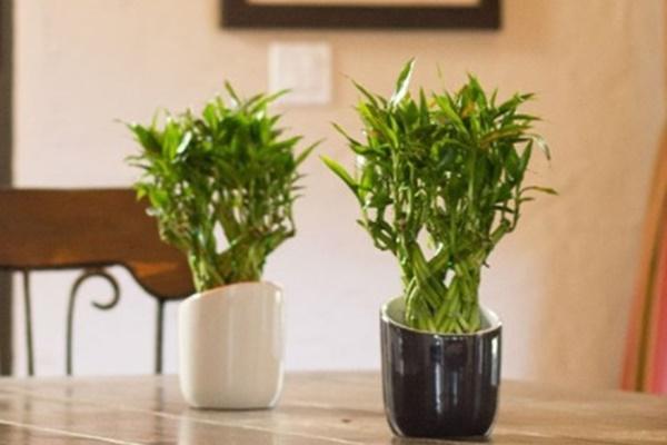 Các nước châu Á khác có ăn chè đậu đỏ vào ngày Thất Tịch?-6