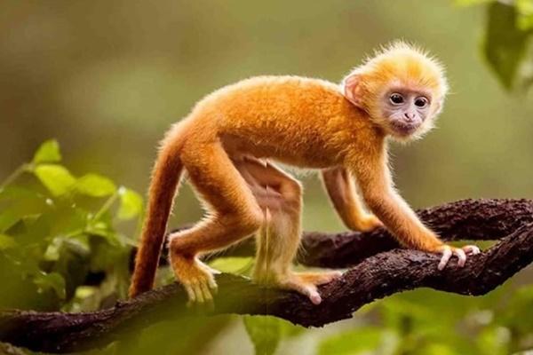 Từ nay 14/8 đến 25/8, 3 con giáp vận thế chói lòa, tiền phình đầy ví, phú quý kếch xù, mua nhà tậu xe-5