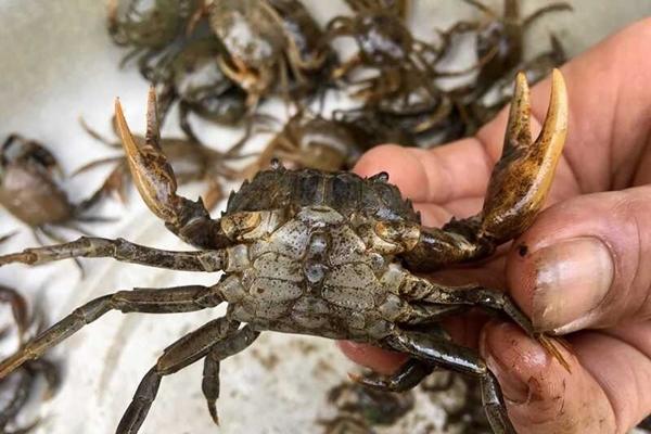 Có thể làm gì với dầu xả tóc hết hạn sử dụng?-3