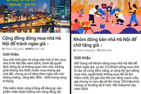 Hai group 'dừng mua tránh ngáo giá' và 'dừng bán nhà' tranh cãi nảy lửa về giá nhà đất