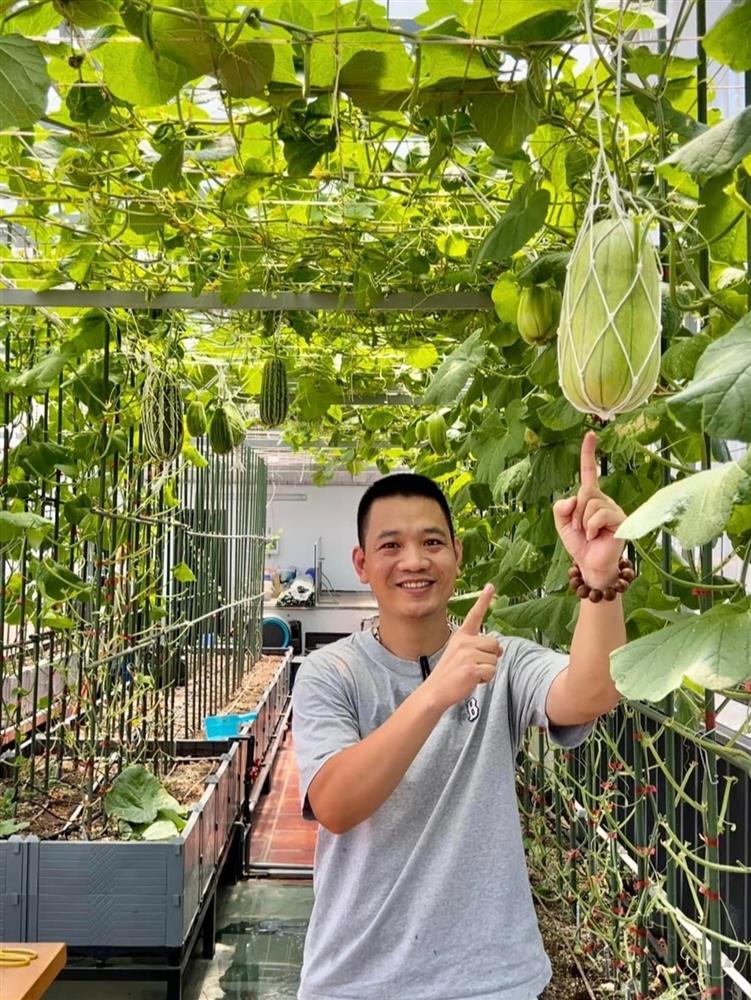 Ông bố ở Hà Nội làm vườn ‘lười’ trên tầng 8, cả năm thoải mái hái trái ngon-8