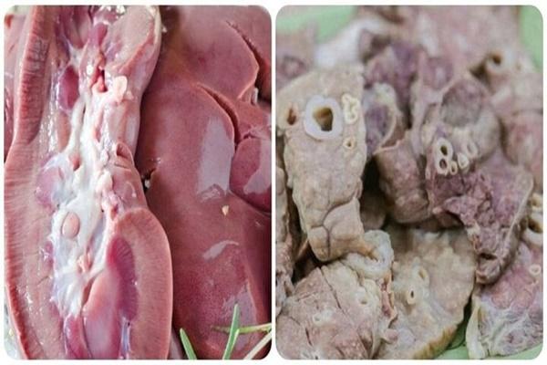 Bộ phận của bò nhìn bẩn nhưng bổ dưỡng-2