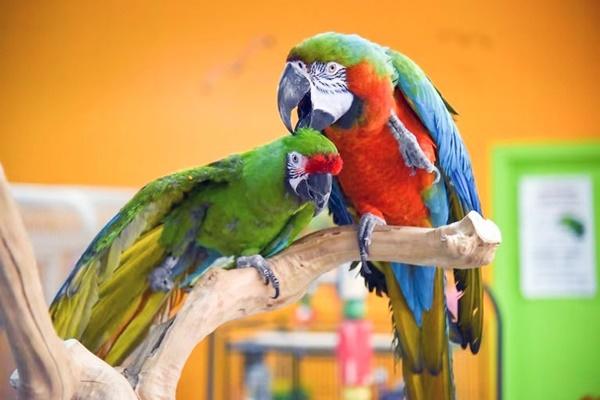 Giả vờ sảy thai nhiều lần để đòi hơn 200 triệu đồng tiền bảo hiểm-2